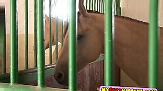 horse garls sex video